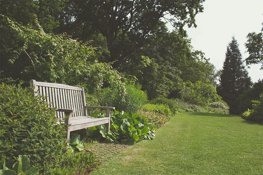 Giardinaggio a basso consumo idrico: come fare?