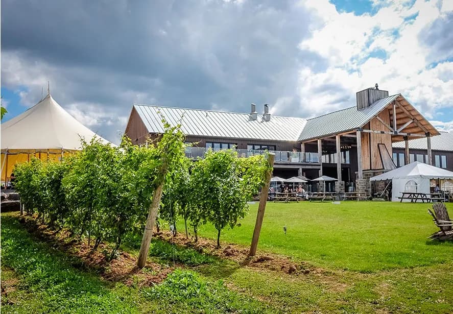 Campagna Vitivinicola 2022/2023: investimenti destinati all’acquisto di impianti depurativi
