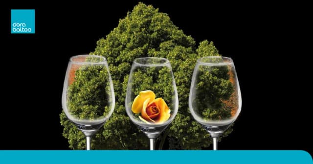 Il futuro del vino è Sostenibile?