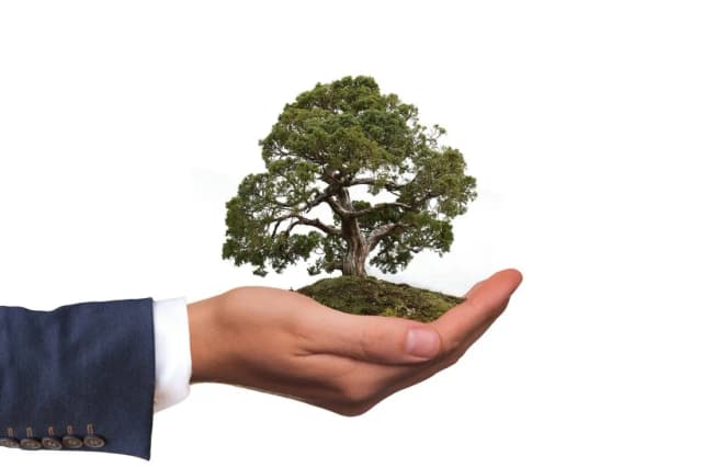 ECOBONUS E DEPURAZIONE