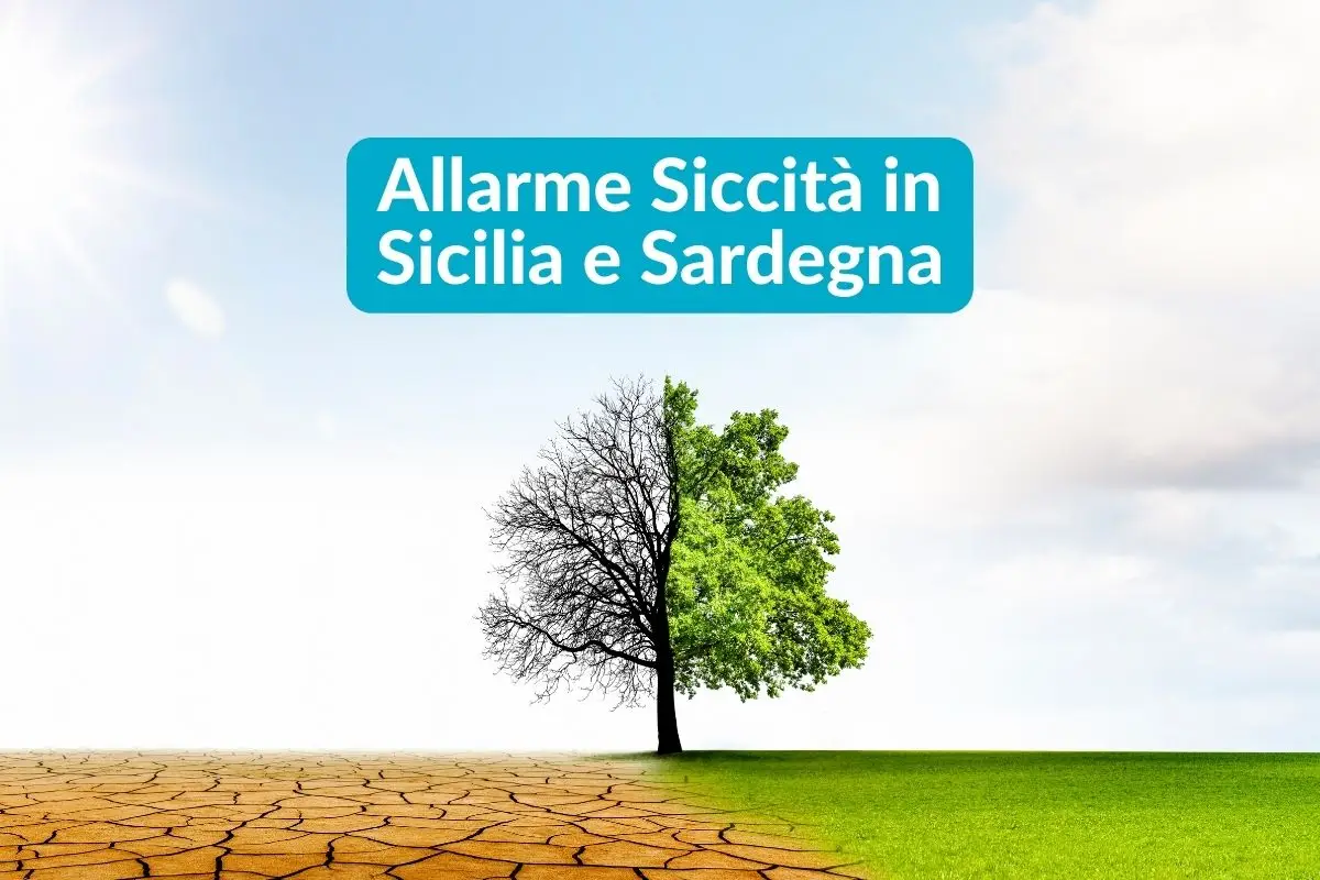 Allarme Siccità in Sicilia e Sardegna: Le Soluzioni di Dorabaltea