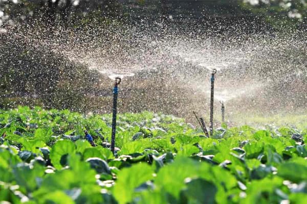 il bando 2022: Agricoltura e gestione dell'acqua per scopi irrigui, contributi per investimenti