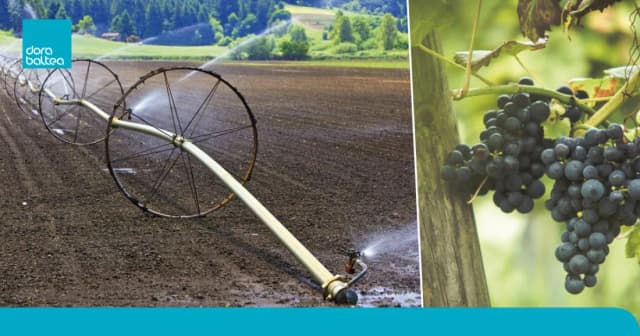 L’importanza di trasformare gli obblighi in opportunità