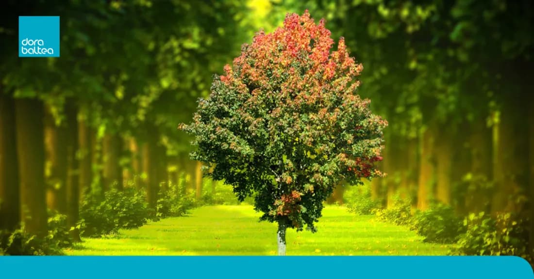 Green Job: il futuro del lavoro è "green"