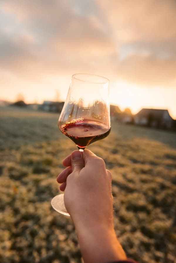 QUANTA ACQUA SERVE PER FARE IL VINO? CON LA DEPURAZIONE PUOI RIUTILIZZARLA PER L’IRRIGAZIONE