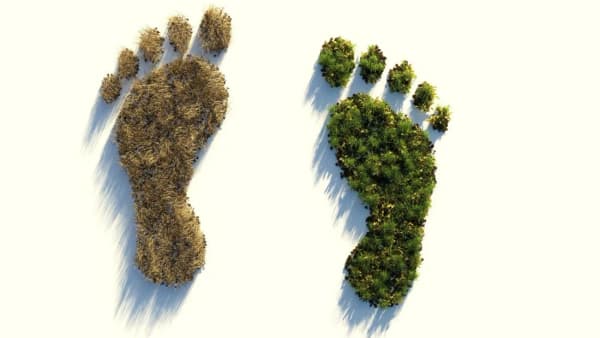 l'impronta idrica - Cos'è e come si calcola 💧❓?