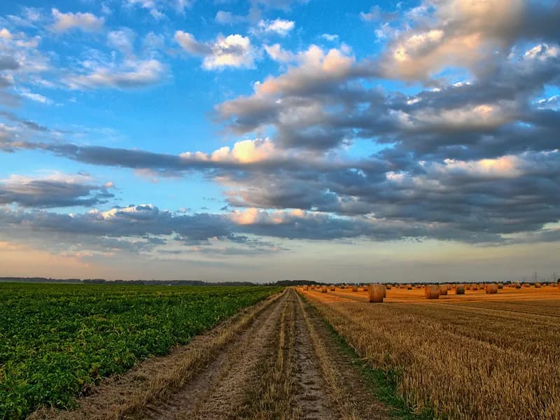 L'importanza del riutilizzo idrico in agricoltura