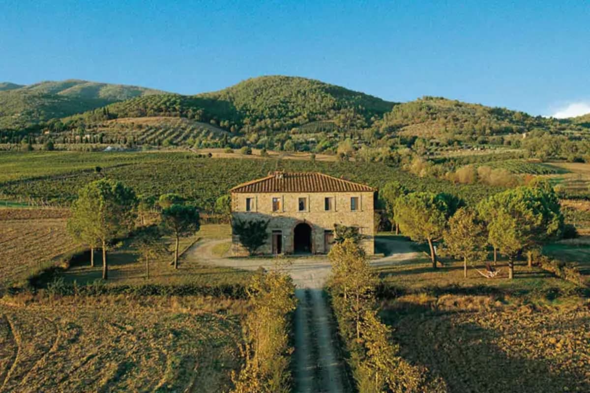 Fattoria La Vialla - Immagine 1