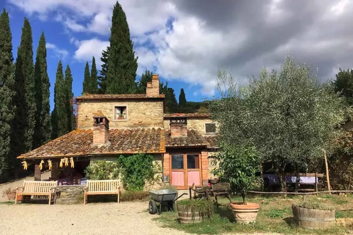 Fattoria La Vialla - Immagine 2