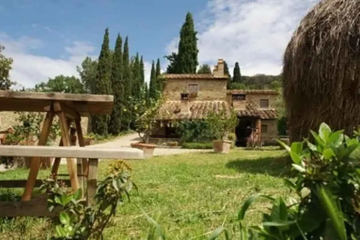 Fattoria La Vialla - Immagine 3