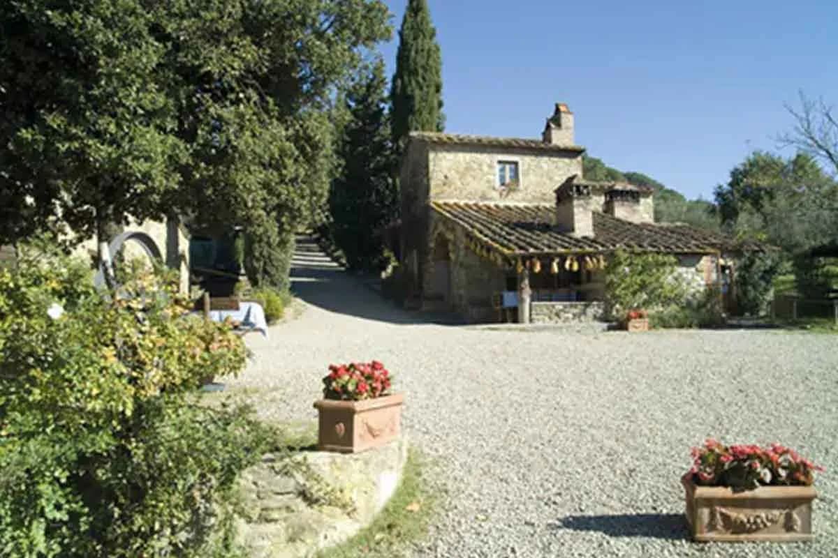 Fattoria La Vialla - Immagine 5