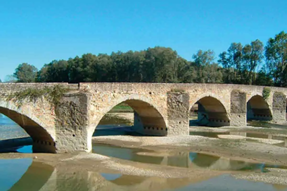 Fattoria La Vialla - Immagine 6