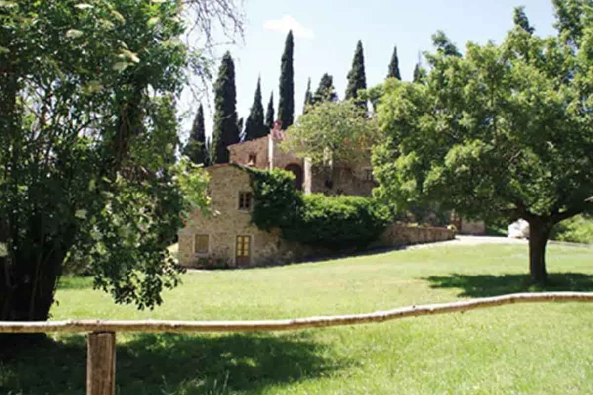Fattoria La Vialla - Immagine 7