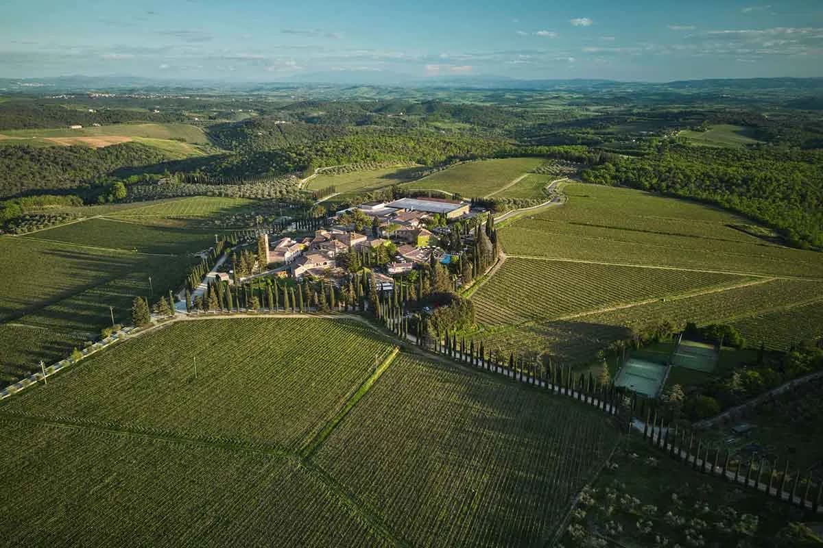 Azienda agricola San Felice - Immagine 1