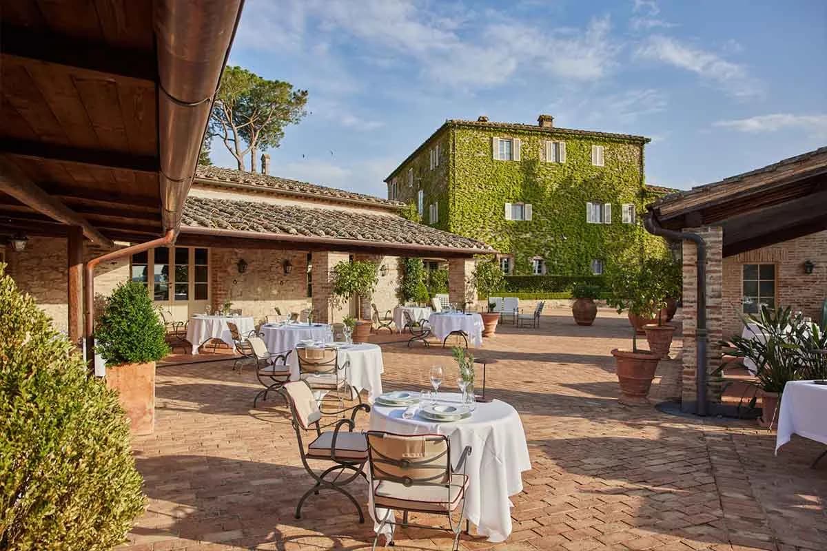 Azienda agricola San Felice - Immagine 2