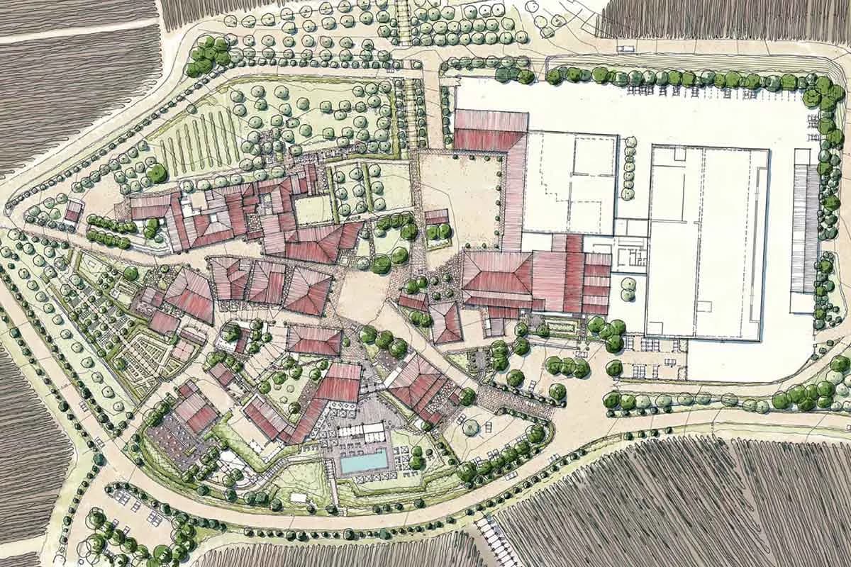 Azienda agricola San Felice - Immagine 3