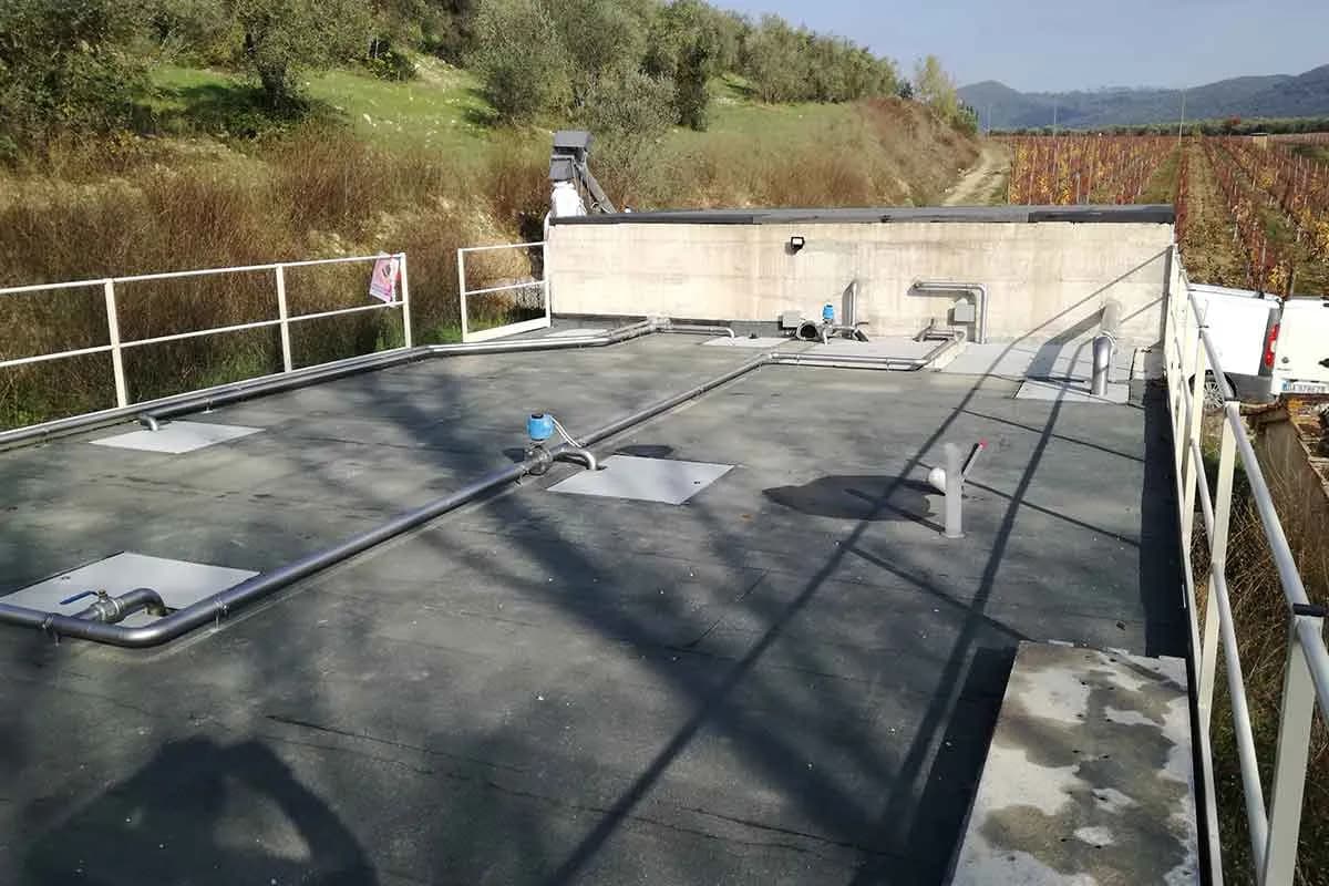 Azienda agricola San Felice - Immagine 8