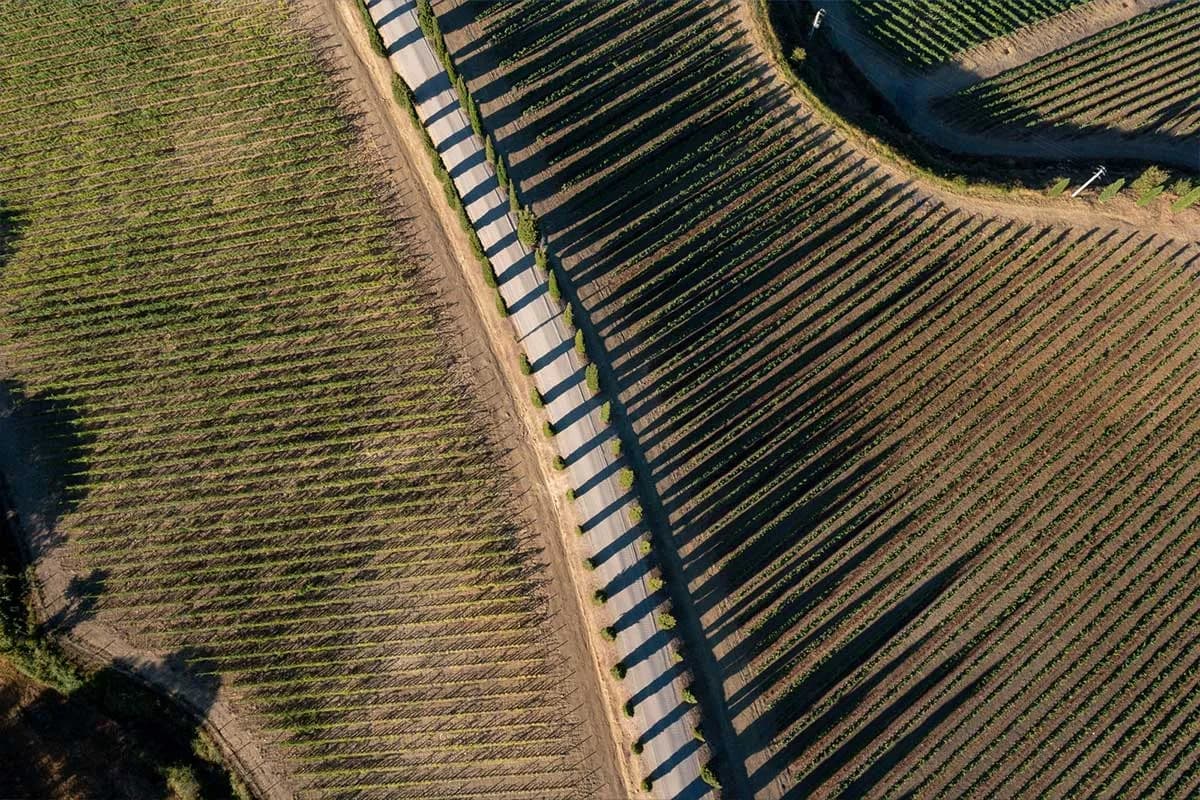 Cantina Poggio Antico - Immagine 1