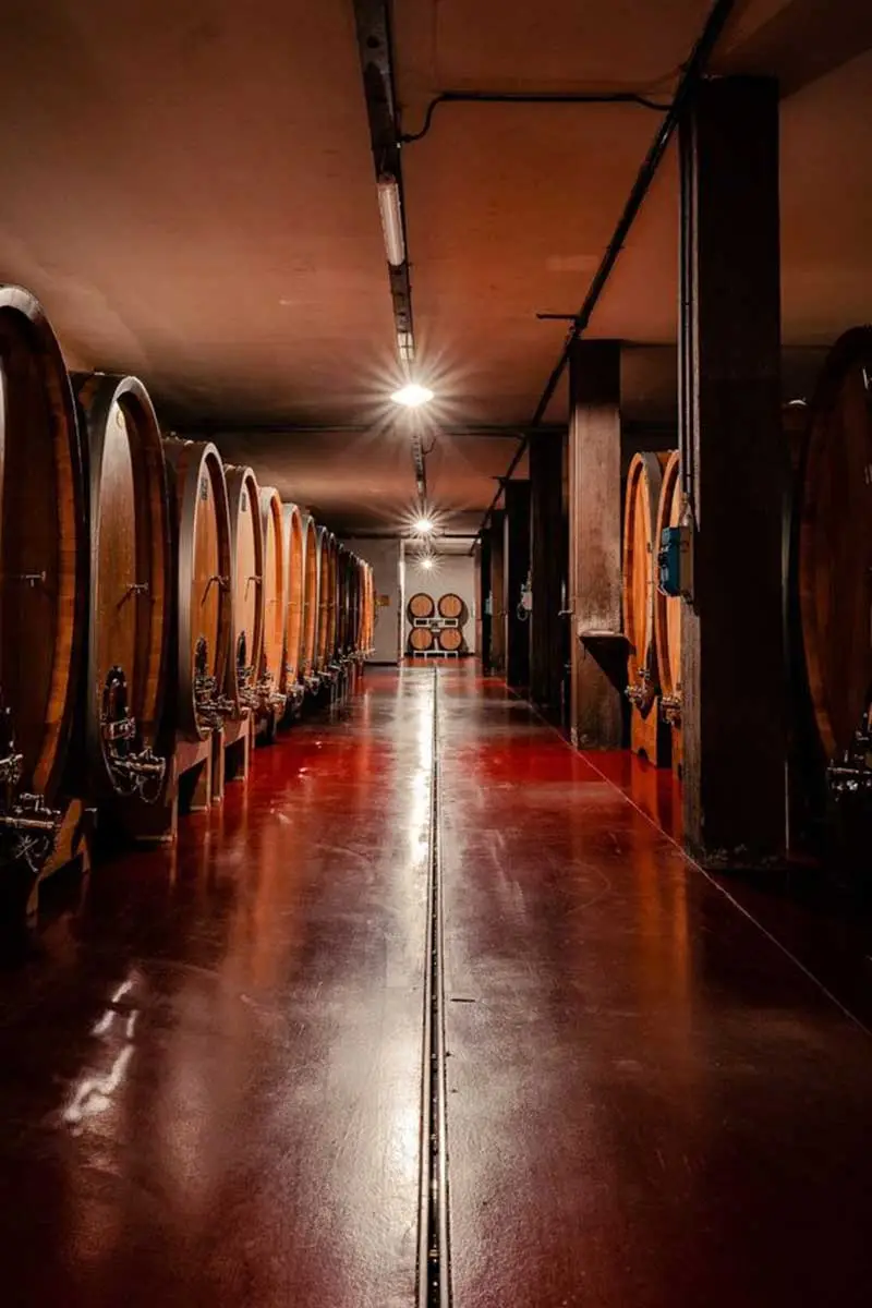 Cantina Poggio Antico - Immagine 5