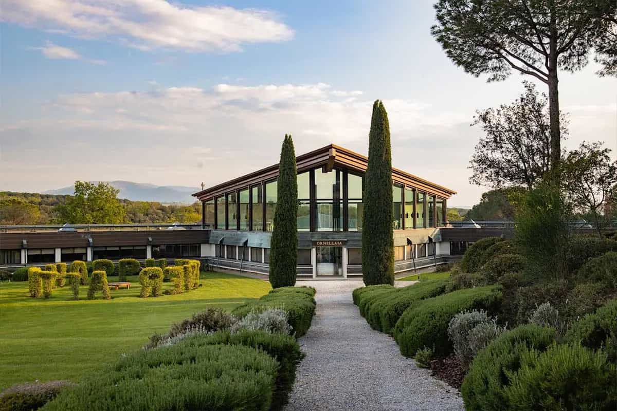 Cantina Ornellaia e Masseto