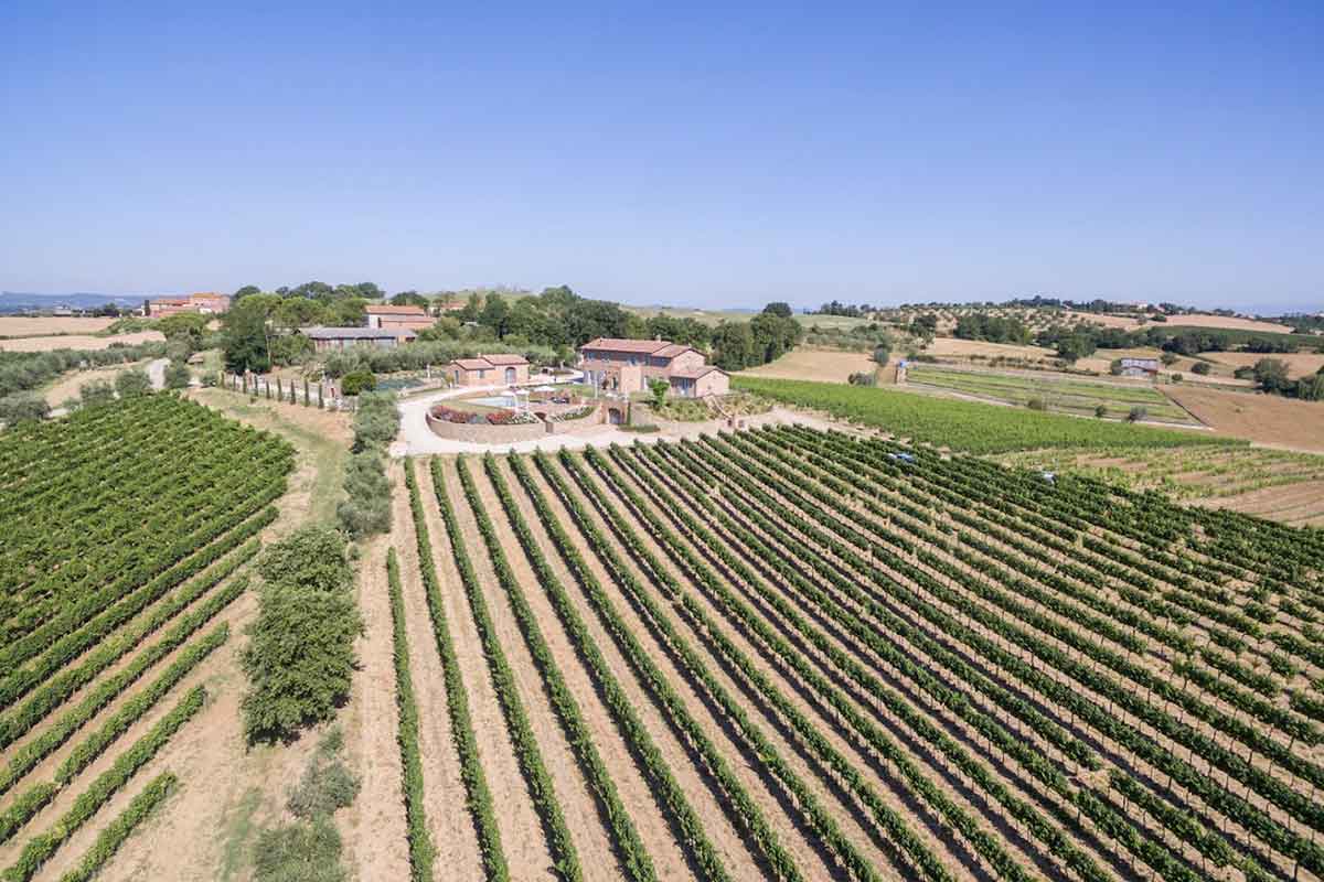 Cantina Canaio - Immagine 4