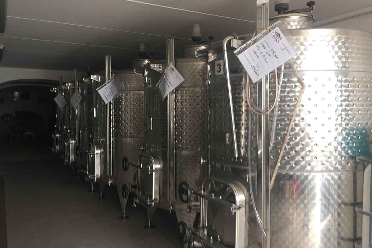 Cantina Canaio - Immagine 6