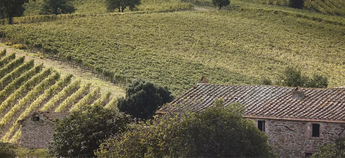 Cantina Doga delle Clavule - Immagine 1