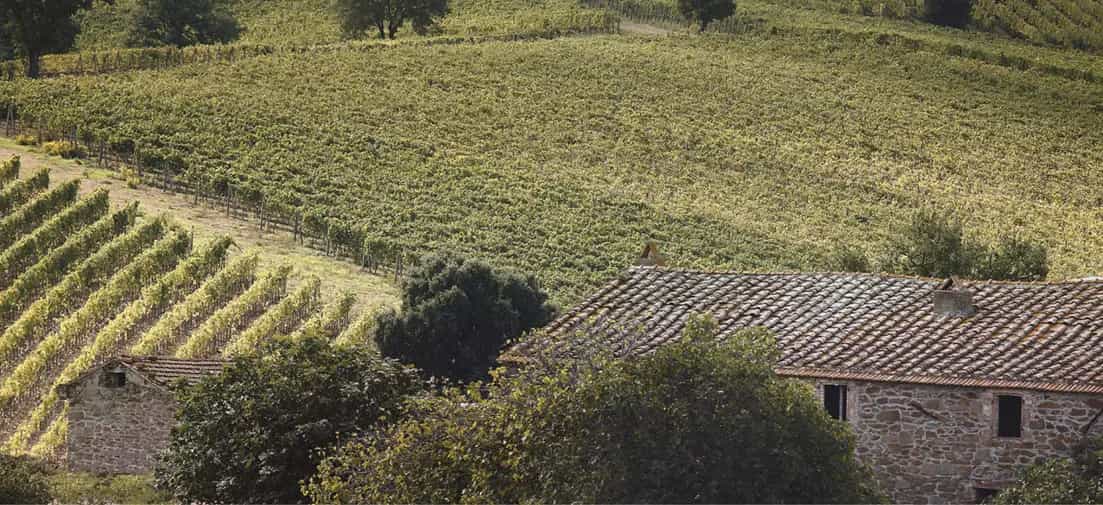 Cantina Doga delle Clavule