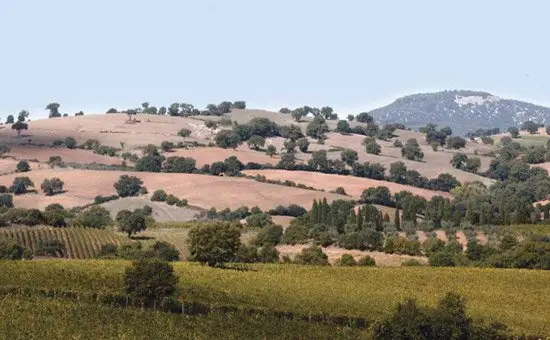 Cantina Doga delle Clavule - Immagine 3