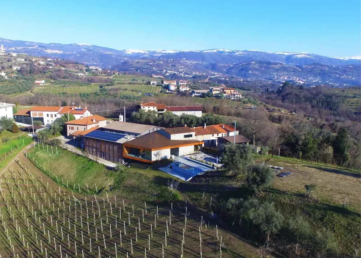 Cantina al Monte di Livio - Immagine 2