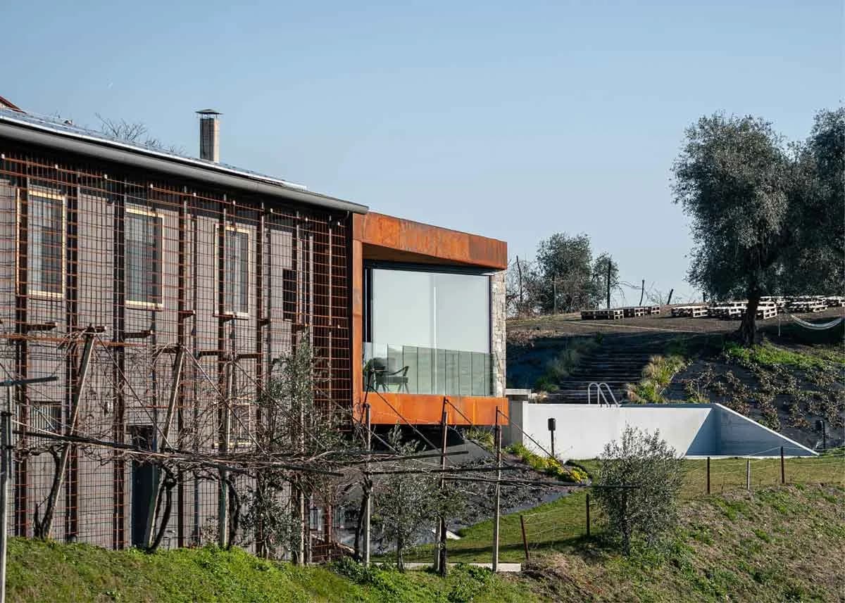 Cantina al Monte di Livio - Immagine 5
