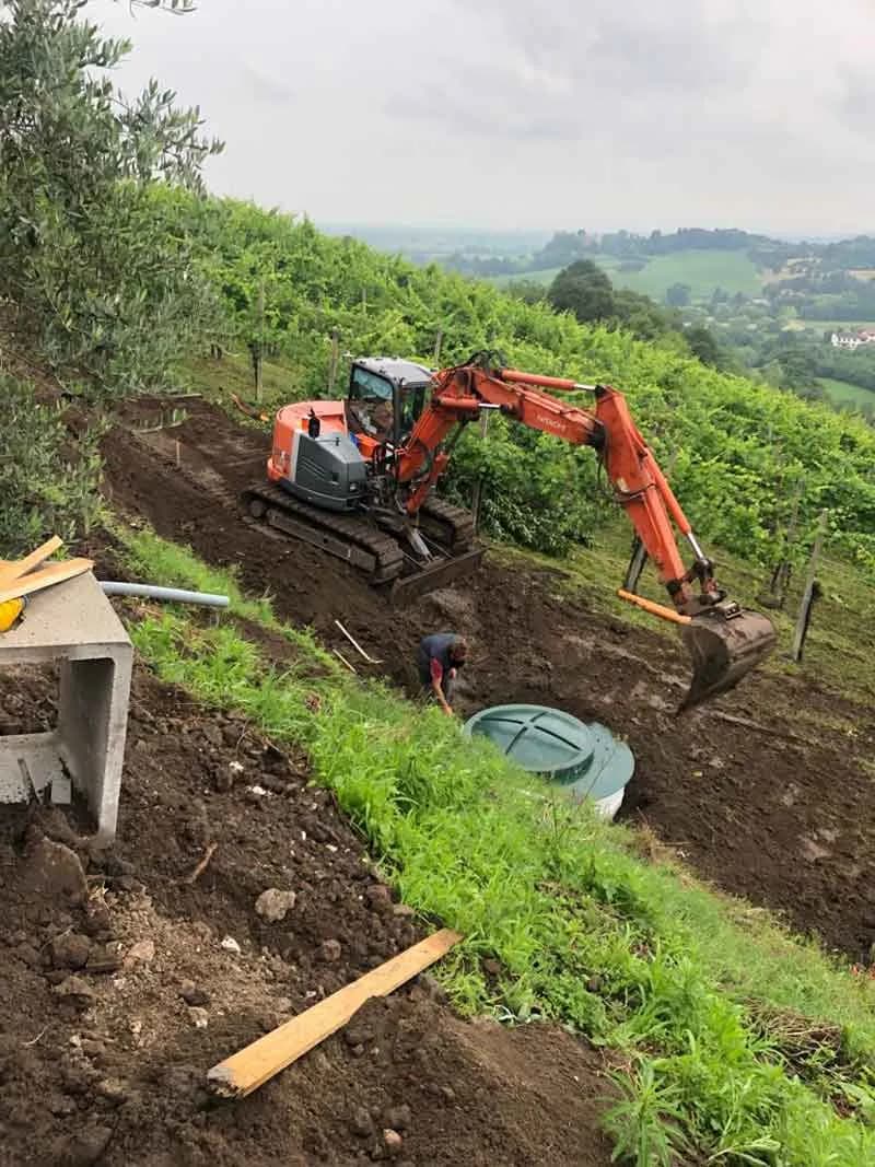Cantina al Monte di Livio - Immagine 8