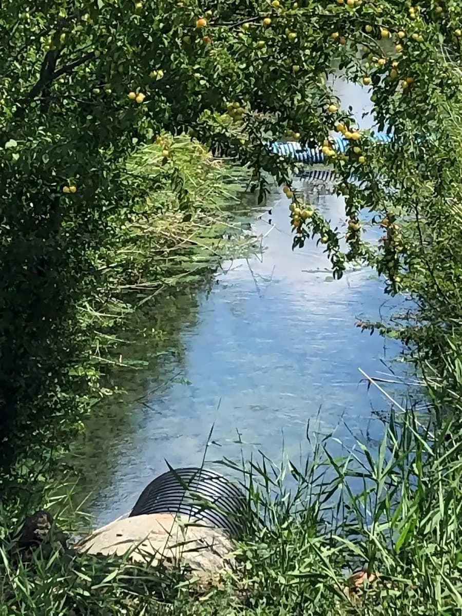 Villaggio turistico - Acquapark - Immagine 5