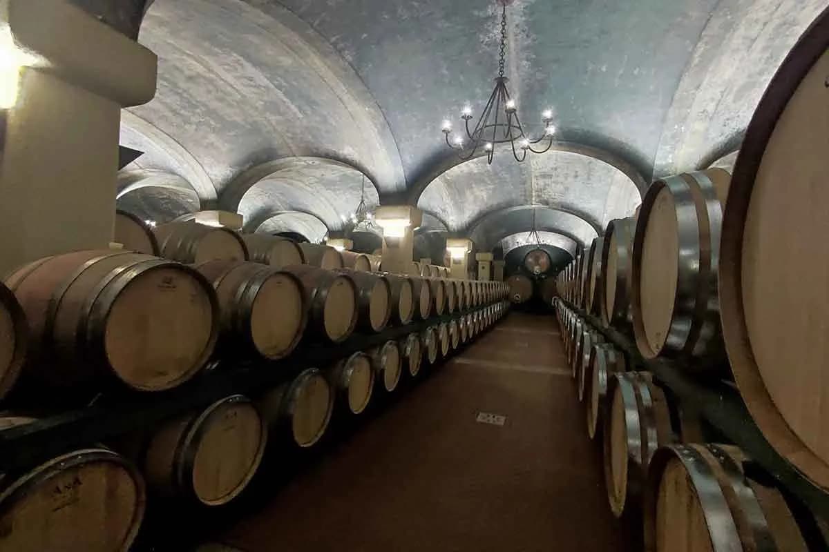 Cantina Caparzo - Immagine 3