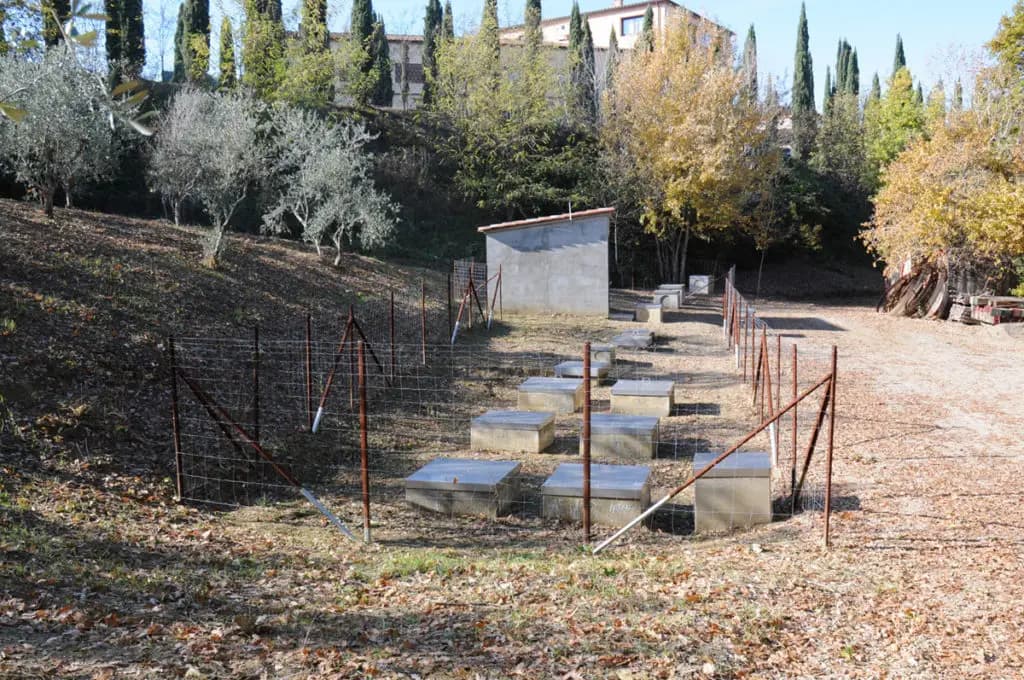 Cantina Caparzo - Immagine 5