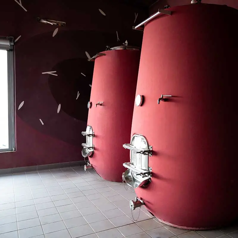 Cantina Su Entu - Immagine 4