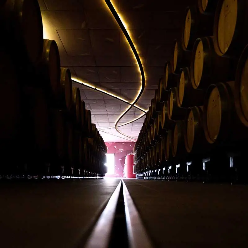 Cantina Su Entu - Immagine 5