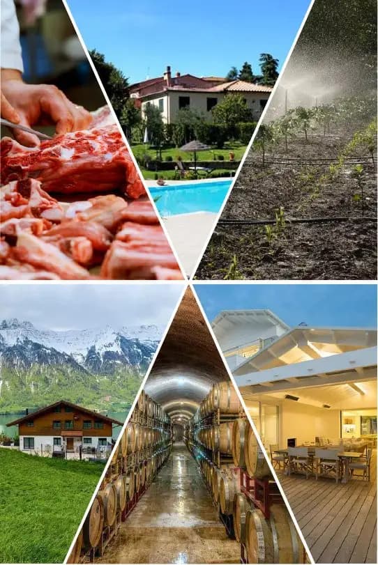 Campi di applicazione