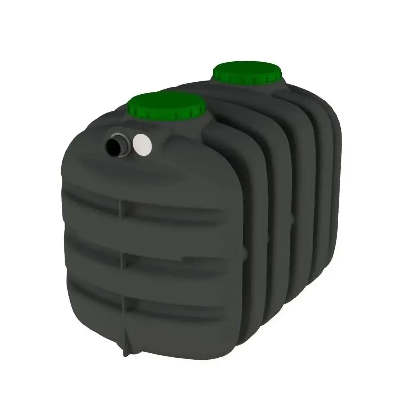 Fossa biologica settica DBSET