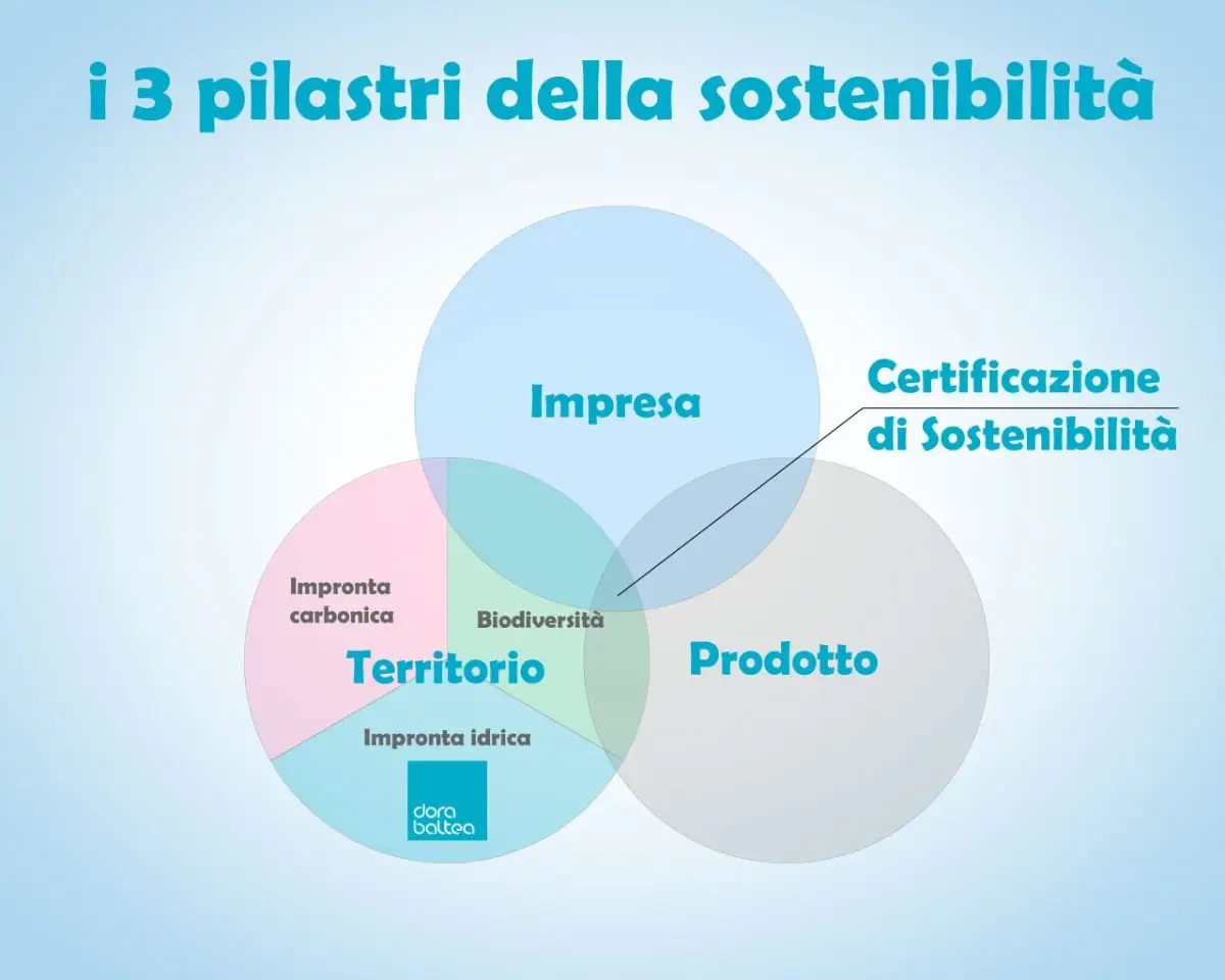 3-pilastri-di-sostenibilita-eQUALITAS-scaled.webp