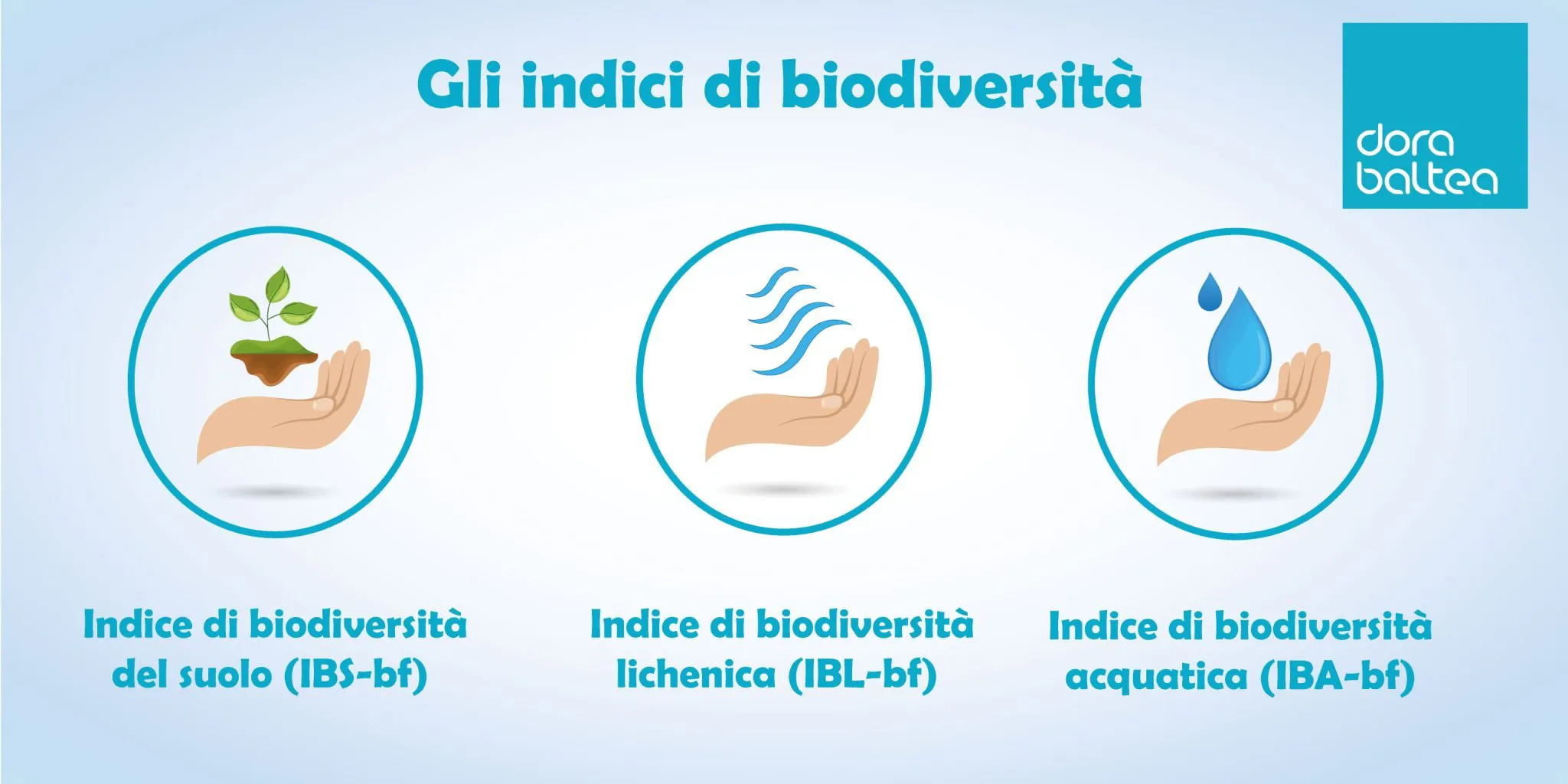 Indice-di-biodiversita-2-2048x1024.jpg.webp